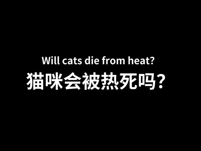 猫咪并非怕热，它们的体温调节机制值得我们学习