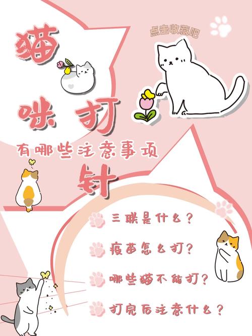 猫咪打针生气，如何安抚宠物情绪