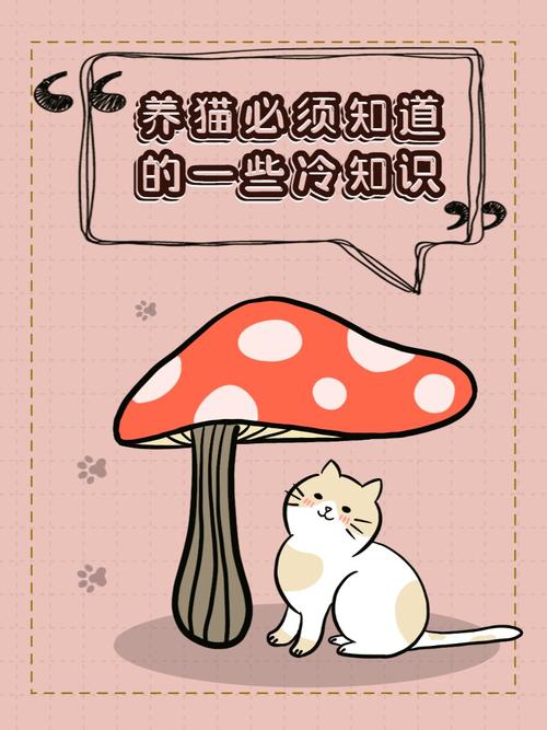 猫咪自我治疗的秘密