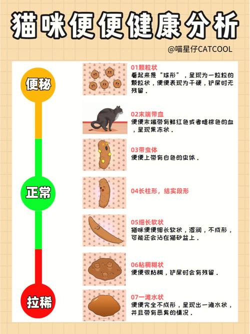 揭秘猫咪粪便类型，解读毛孩子健康密码