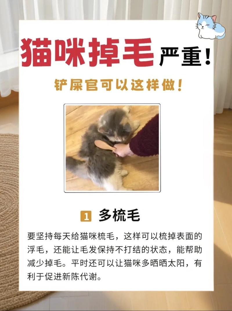 猫咪脱毛，原因与应对策略