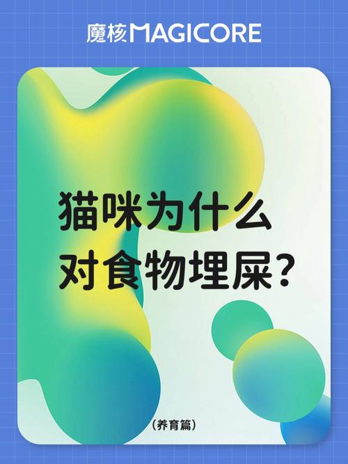 猫咪水盆里的秘密，屎与健康的关系