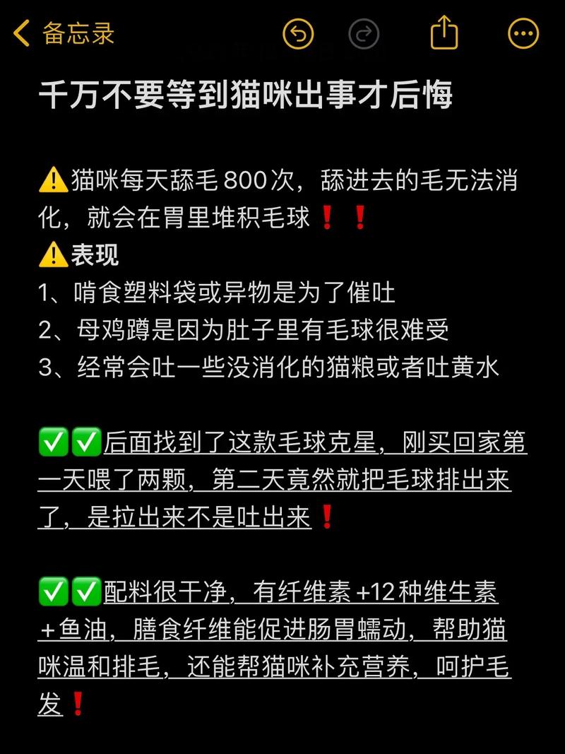 猫咪专属食器，为毛你还不用？