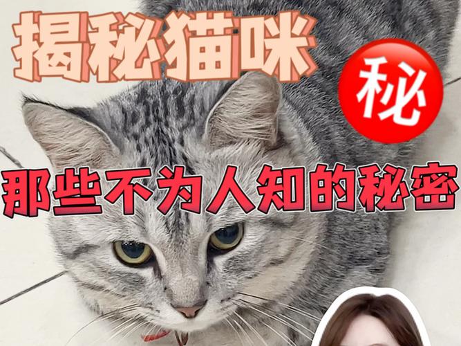 揭秘猫咪网址免费的秘密