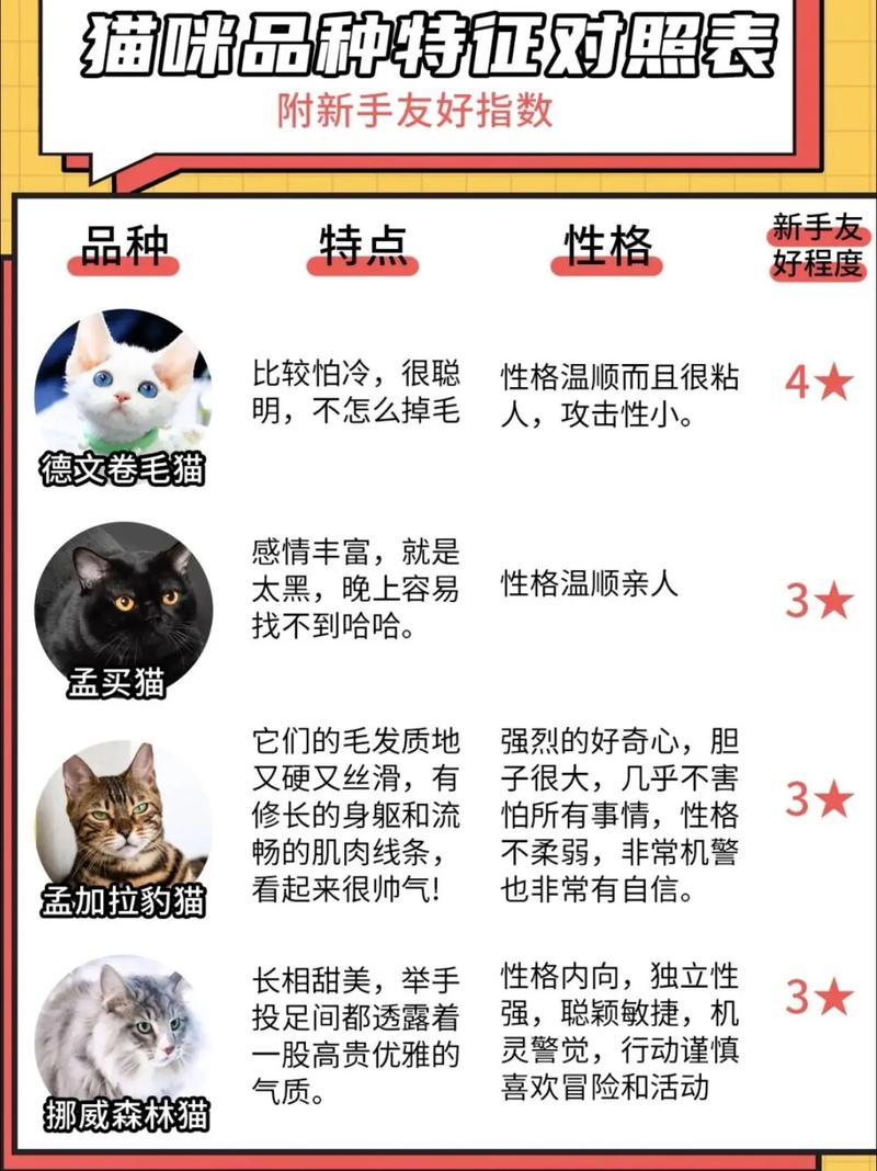 探索万千风采，揭秘15种绝美猫咪品种