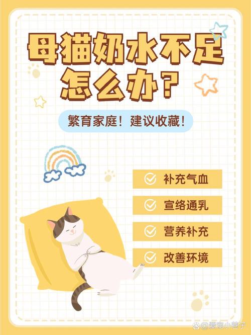 孕育新生命，科学喂养猫咪孕期