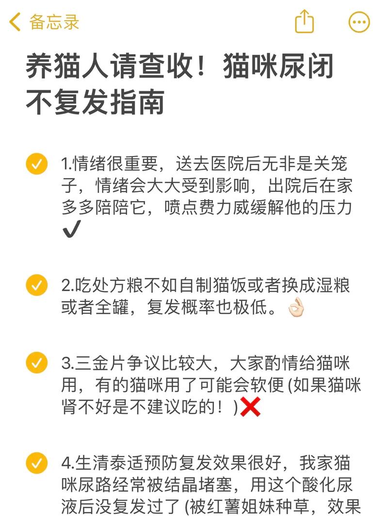 猫咪尿路健康，有效的消毒护理指南