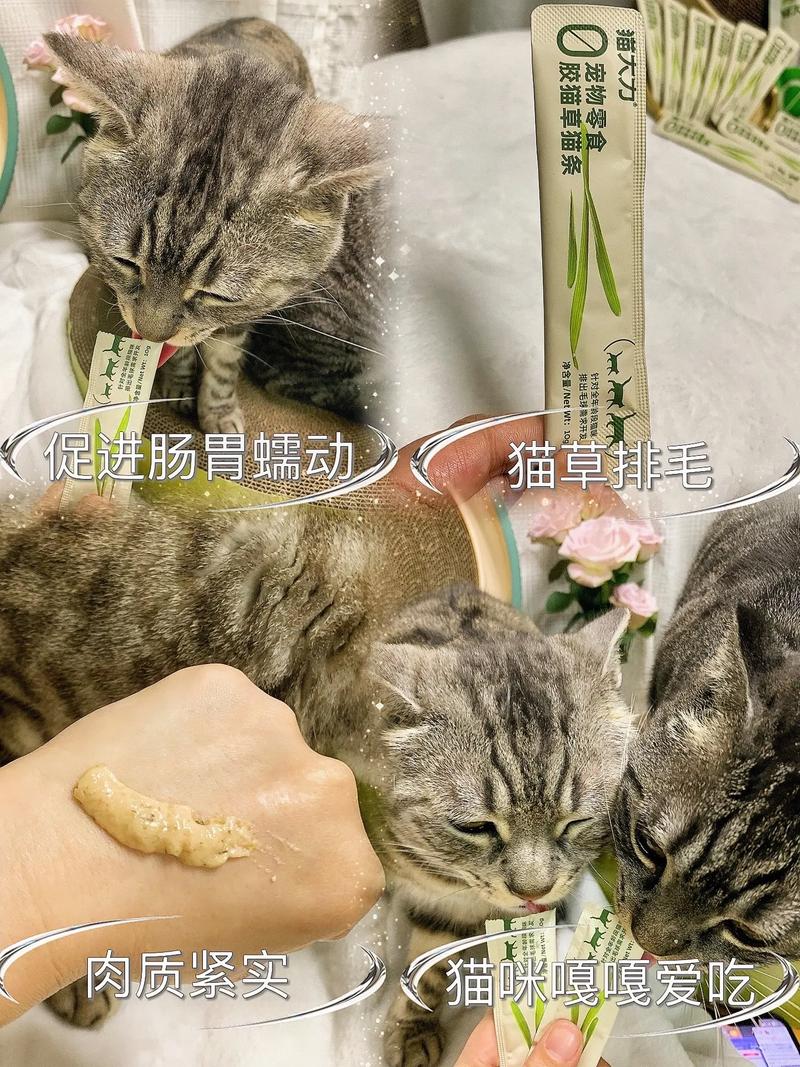 猫咪补钙水，如何给爱宠补充关键营养