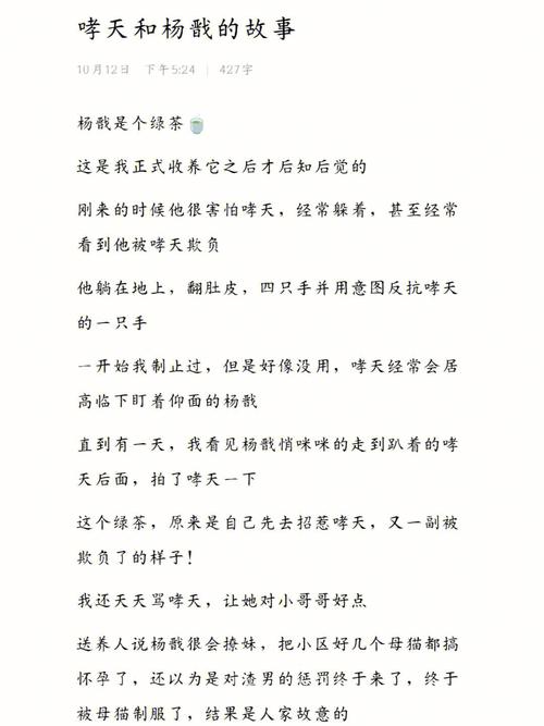 猫咪的生存法则，适应与挑战