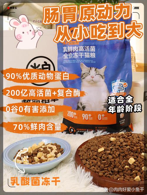 揭秘猫咪繁殖的秘密，如何科学且负责任地繁殖猫咪