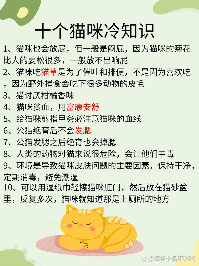 猫咪的神秘灌水与催吐行为揭秘