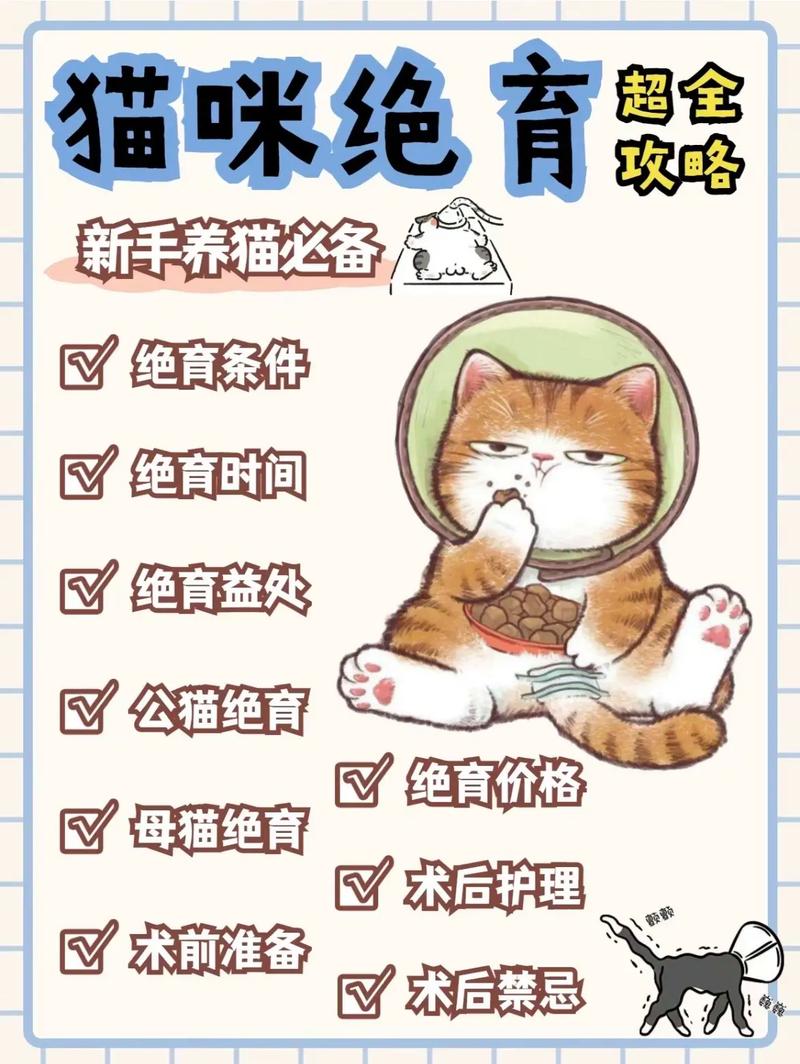 揭秘猫咪绝育的优劣，让爱宠更健康快乐