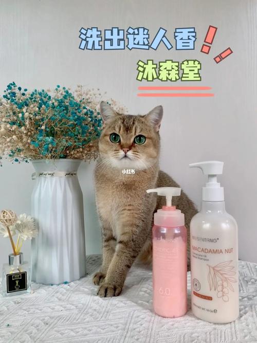 猫咪不用香波也能散发迷人的香气