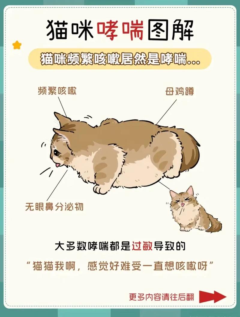 猫咪哮踹，为什么家猫会突然发出奇怪的声音？