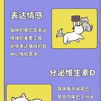 猫咪的尾巴语录，解读它那微妙的震动密码