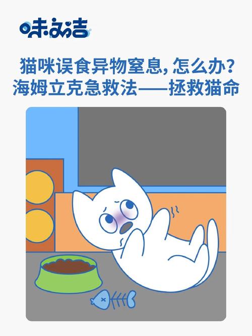 猫咪误食后如何安全有效催吐