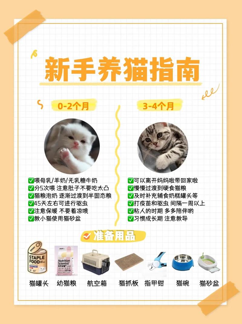 猫咪最佳购物指南