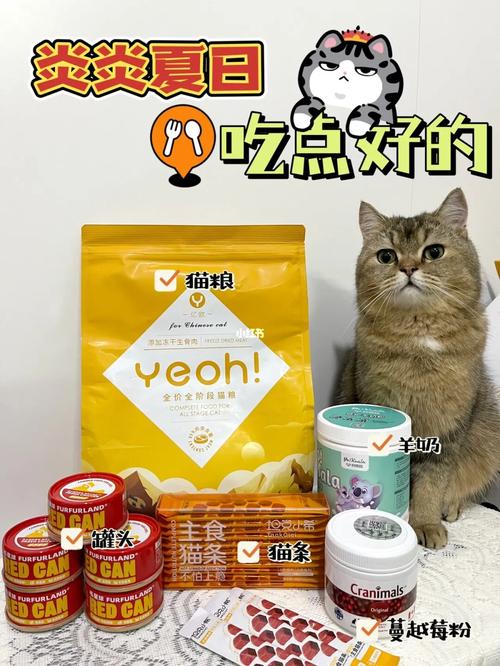 夏日炎炎，猫咪的夏季饮食秘籍