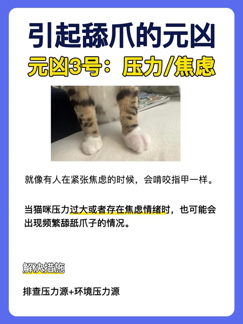 猫咪为何总是舔自己？