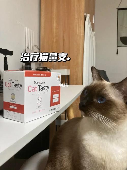 猫咪鼻涕变棕色？可能的健康信号与观察要点