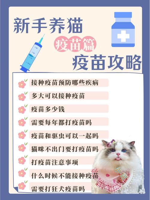 揭秘宠物健康守护，猫咪疫苗注射的重要性