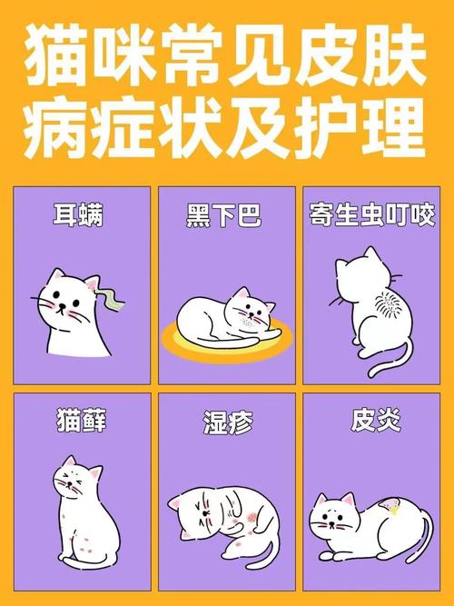 猫咪干呕，常见原因及护理方法