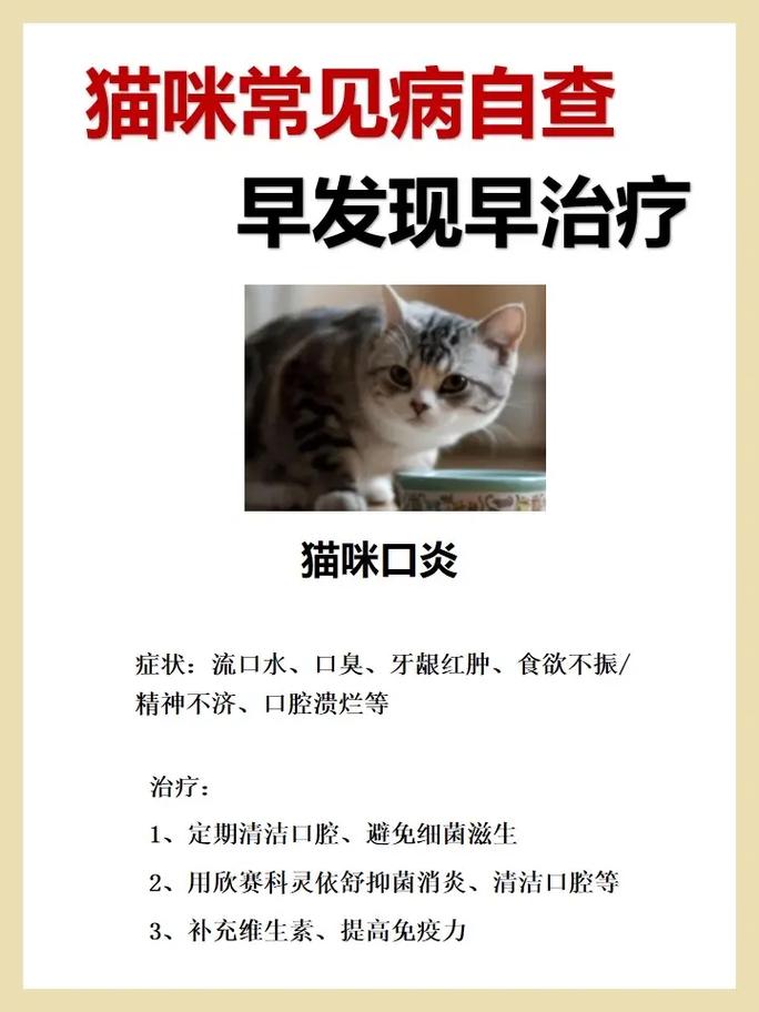 猫咪也需小心细小病，如何识别与应对猫咪细小病毒感染