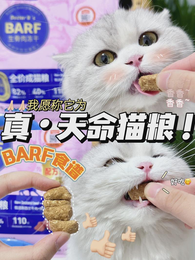 揭秘猫咪易抽筋的秘密——预防与应对策略