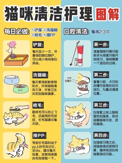 猫咪的自我清洁艺术，为什么它们总是爱舔笼子？