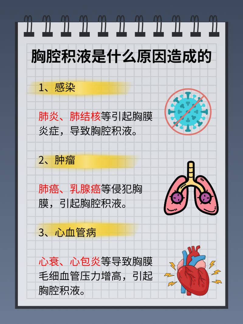 探秘猫咪胸腔炎，症状与预防