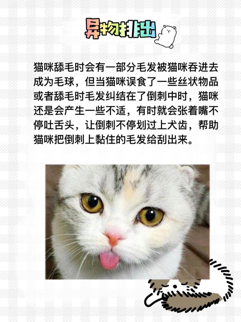 猫咪舌头疼，原因与应对方法