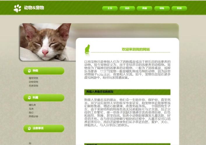 猫咪现网站，探索互联网上猫咪世界的魅力