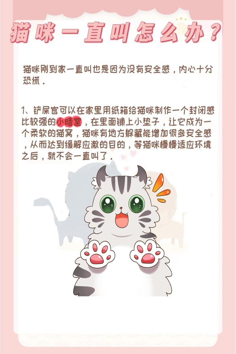 春季猫咪为何嗜睡？专家解析背后原因