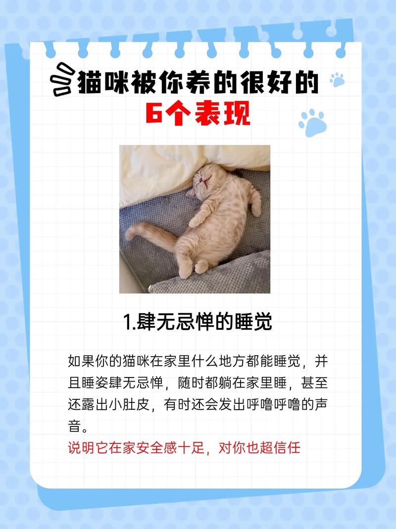 如何为你的猫咪进行有效认证？