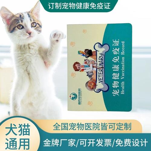 猫咪空运，如何安全又合法地将爱宠寄送到远方