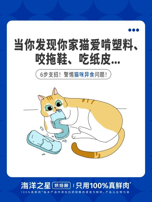 猫咪便血，警惕潜在的健康危机