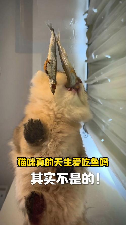 猫咪真的能生吃鱼吗？