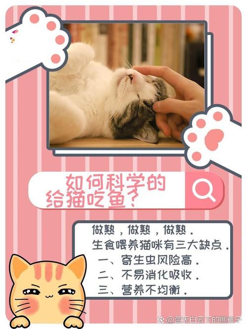 猫咪缺B？营养不均衡的后果