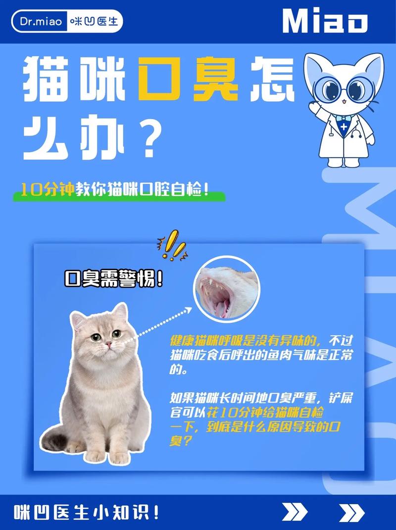 猫咪口腔潮红，可能的健康信号与应对措施