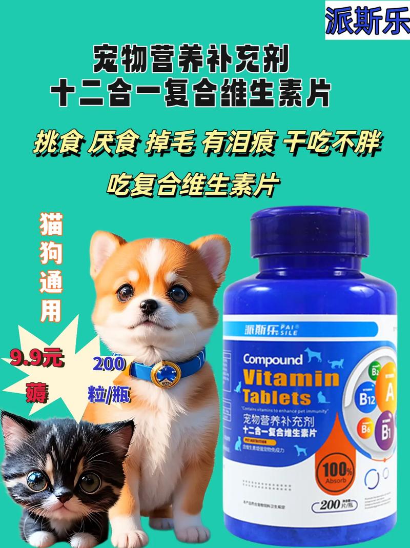 猫咪补钙药，科学补充，健康成长