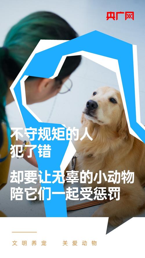 为爱宠保驾护航