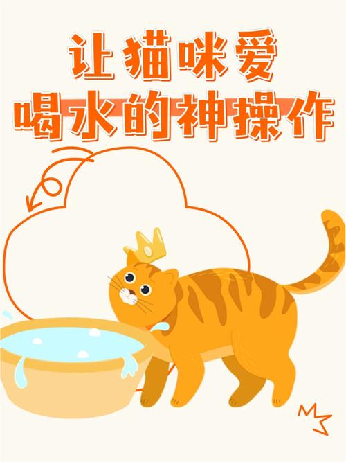 猫咪饮水的重要性与饮水习惯培养