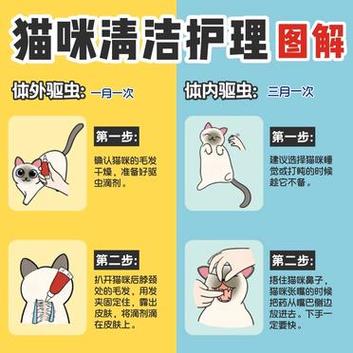 猫咪肛门清洁，养护健康，轻松掌握