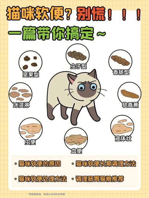 猫咪大便发红？5个常见原因及解决办法