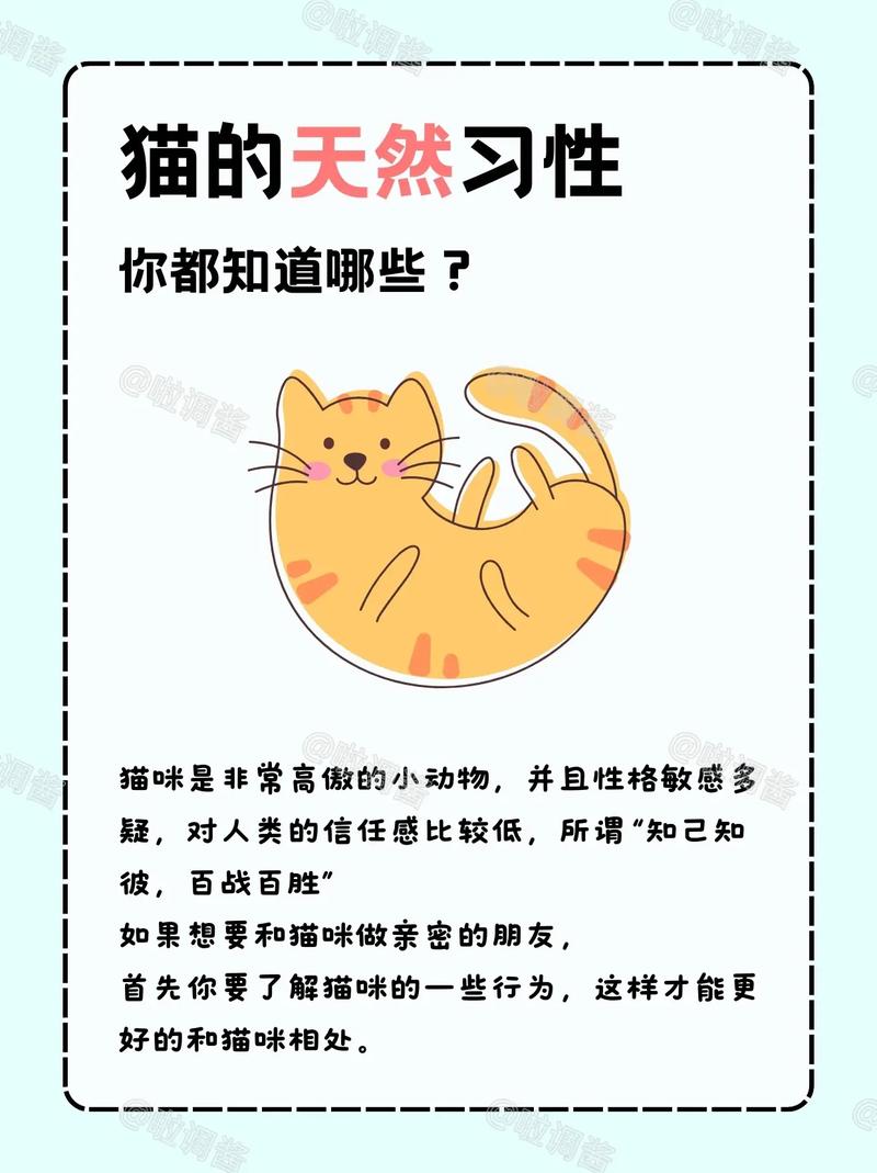 猫咪为什么拥有出色的其他感官而没有听觉？揭秘它们的生存策略