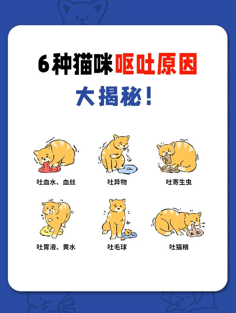 猫咪的健康警报，了解为何沫子会呕吐