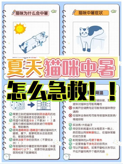 猫咪噎到急救，掌握关键步骤，守护毛孩子健康