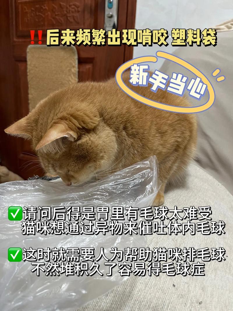 猫咪呕吐自救指南，安全有效的方法来帮助猫咪快速催吐