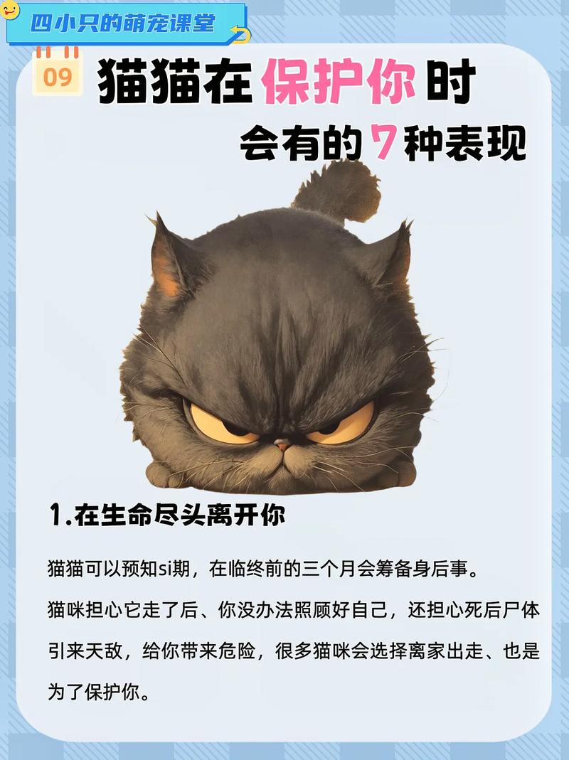 猫咪的战斗本能，对抗人类的接触