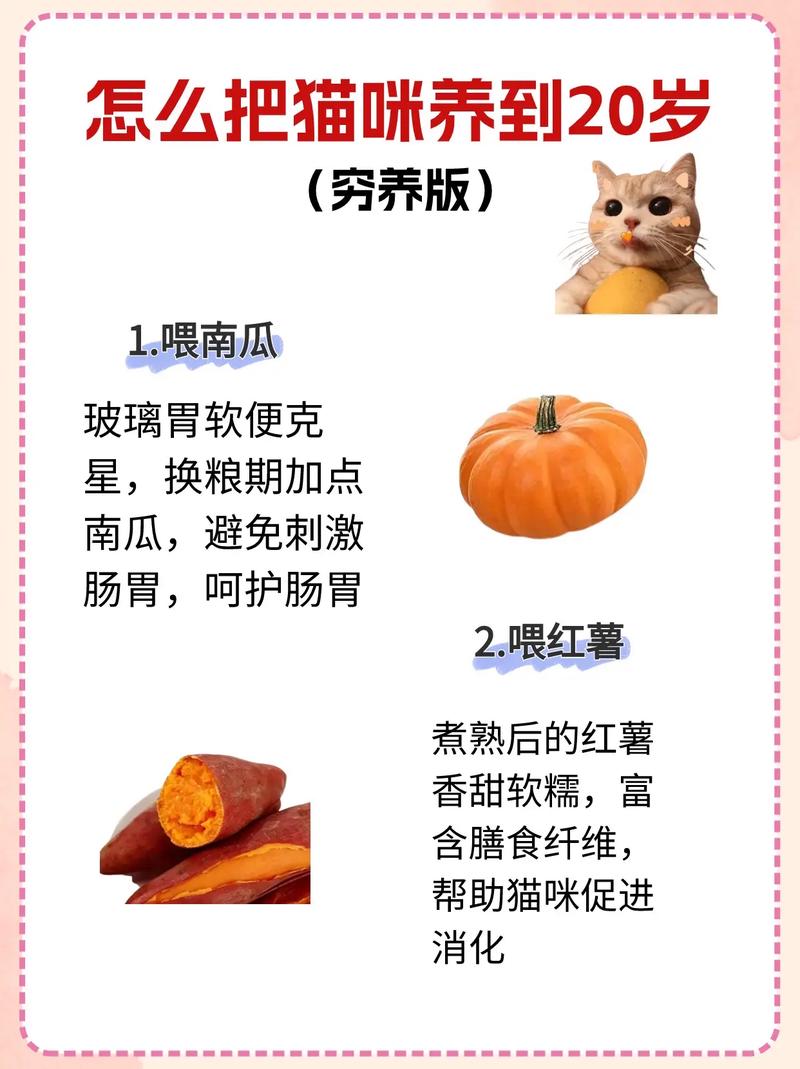 猫咪天生的肉食本能，为什么它们最爱吃鱼和肉